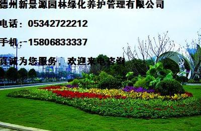 德州新景源園林 綠化養護管理性價比之選