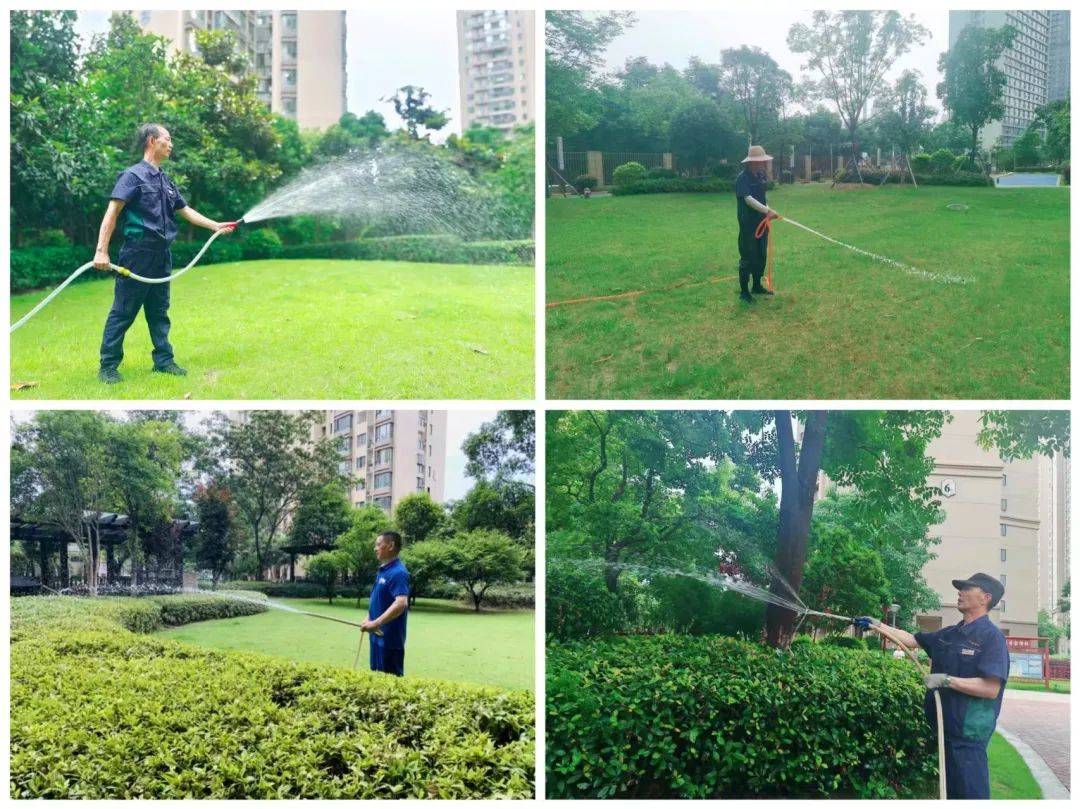 品質進階，綠化養護——和融物業讓生活更美好