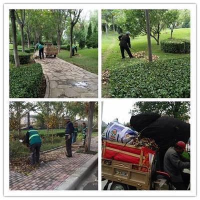 縣住建局“三舉措”抓好秋季綠化養(yǎng)護工作