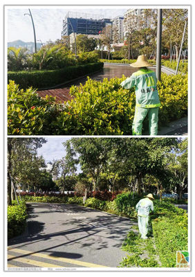 深圳灣休閑帶園區(qū)綠化管養(yǎng)工作情況匯總（12月1日-12月10日）