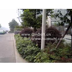 園林養(yǎng)護全產(chǎn)業(yè)鏈解析 從批發(fā)供應(yīng)、廠家生產(chǎn)到綠化管理