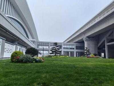 句容高鐵站 綠化管理再升級，城市門戶展新顏