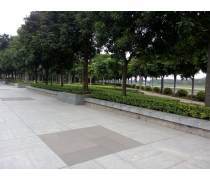 綠化管理產品庫 提升城市綠化品質與效率的智慧工具