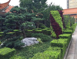 帶著感情做綠化丨美好家園，我們給您營造——綠化管理的人本之道