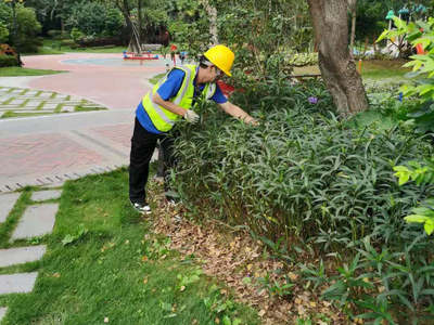 怡軒園林綠化公司啟動(dòng)雪域?yàn)懲バ^(qū)冬季綠化專項(xiàng)養(yǎng)護(hù)管理工作