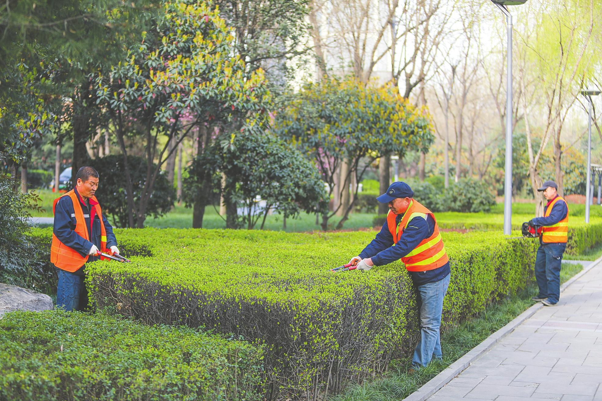 綠化養(yǎng)護(hù)工作人員標(biāo)準(zhǔn)化作業(yè)與高效綠化管理